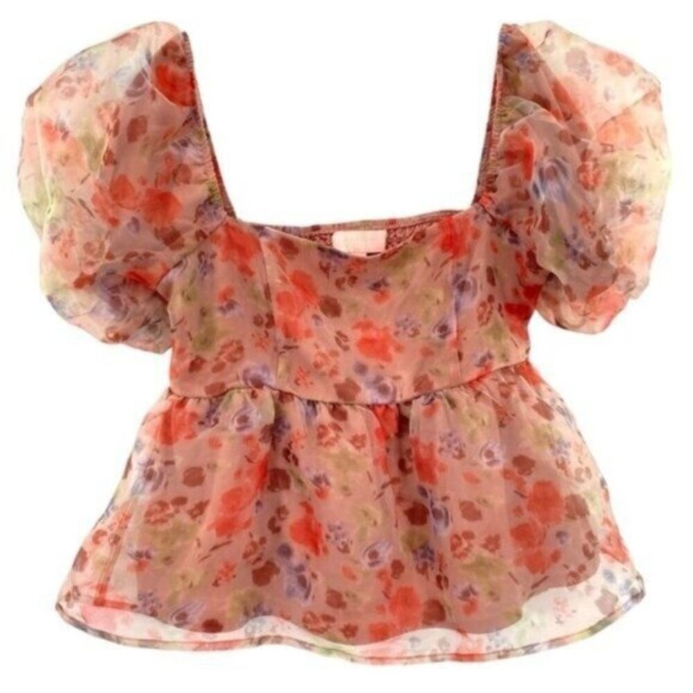 Charmed Hearts Romantic Fairy Puff Sleeve Crop Top Coquette Milkmaid